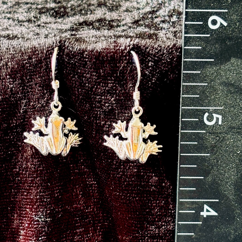 Frog Earrings